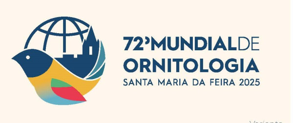 Mondial Santa Maria Da Feira 2025