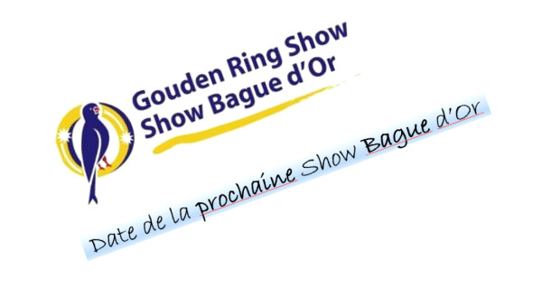 Date 31ème Show Bague d'Or