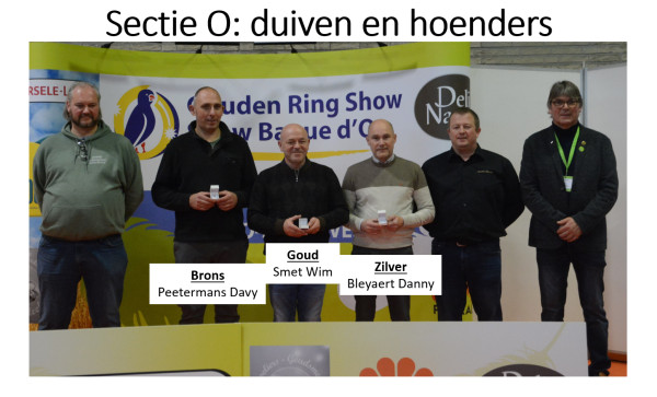Gouden Ring Show