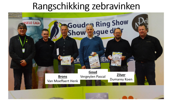 Gouden Ring Show
